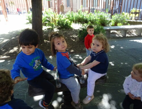 Les Tournesols au parc !
